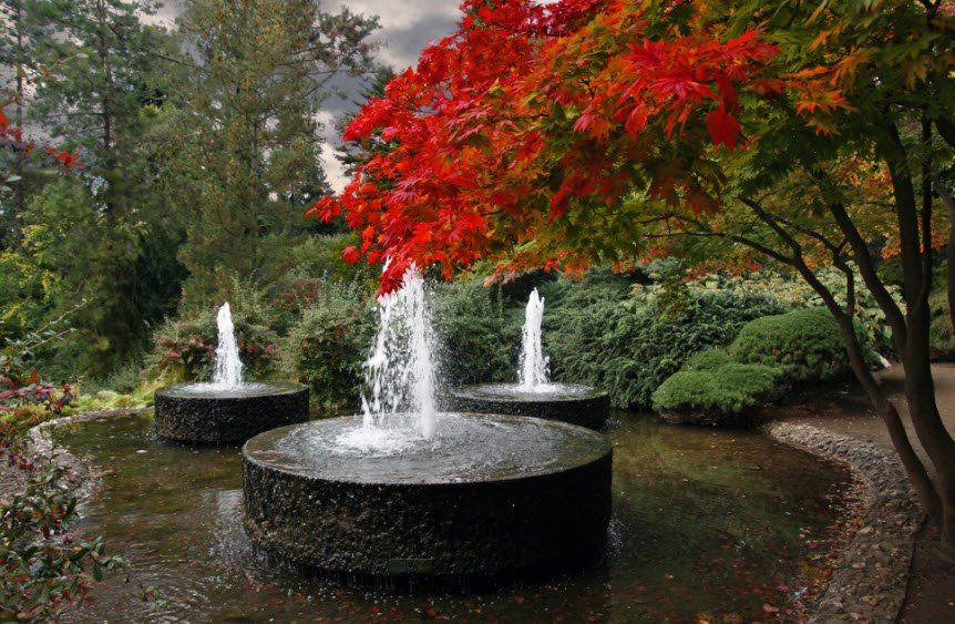 Zum Forstbotanischen Garten, Germany, Germany